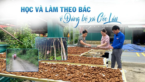 Học và làm theo Bác ở Đảng bộ xã Cốc Lầu