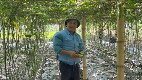 Xây dựng các vùng chuyên canh nông sản: Cần cơ chế khuyến khích, hỗ trợ