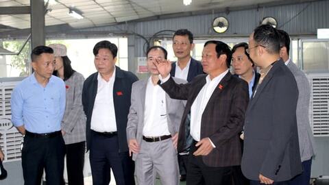 HĐND thành phố Hải Phòng phát huy vai trò cơ quan dân cử