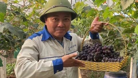 Anh Đoàn Văn Duy làm nông nghiệp xanh, sạch, bền vững