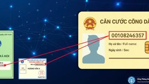 VNeID có thể thay thế những giấy tờ nào?