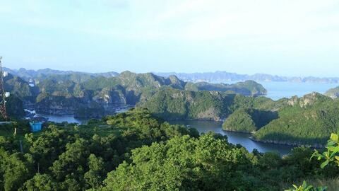 Lợi ích lớn từ thực hiện cơ chế tín chỉ carbon ở Hải Phòng