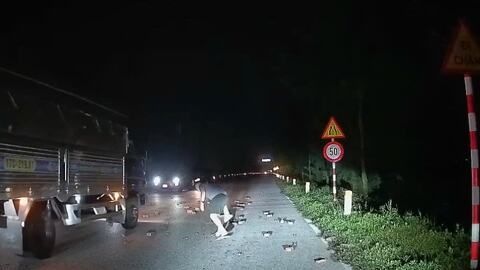 Nam thanh niên dừng xe nhặt gạch rơi trên đường trục Bắc – Nam