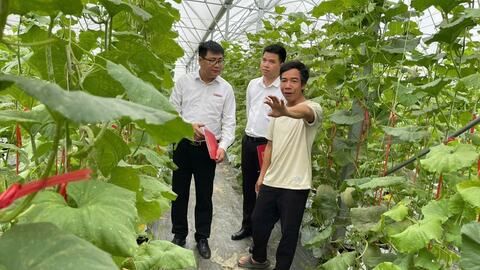 Khơi thông nguồn tín dụng xanh ở Hải Phòng