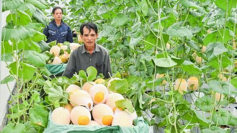 Xã Trường Tân đổi thay nhờ nông nghiệp công nghệ cao