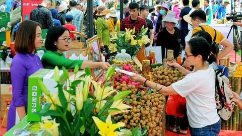 Nâng tầm sản phẩm OCOP