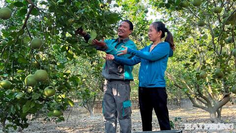 Tín dụng chính sách tiếp sức tạo việc làm ở nông thôn