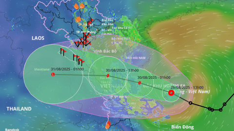 Chủ tịch UBND thành phố Hải Phòng yêu cầu khẩn trương phòng chống áp thấp nhiệt đới và mưa lớn