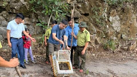 Lan tỏa tinh thần trách nhiệm bảo vệ di sản thiên nhiên thế giới đảo Cát Bà