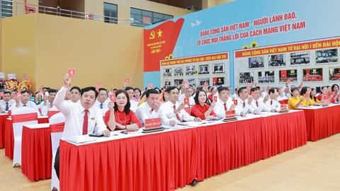 Phát triển đảng ở đặc khu Cát Hải - Kết quả cao từ quyết tâm và cách làm sáng tạo