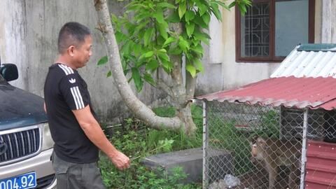 Bảo vệ người dân và động vật hoang dã ven đồi rừng Thiên Văn