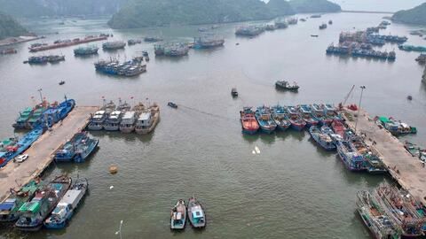 Đặc khu Cát Hải dừng hoạt động trên biển để phòng chống áp thấp nhiệt đới