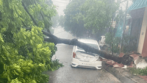 Bão số 5 đổ bộ Nghệ An - Hà Tĩnh: 1 người chết, hơn 600 nhà tốc mái