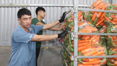 Giải 'cơn khát' vốn cho các hợp tác xã