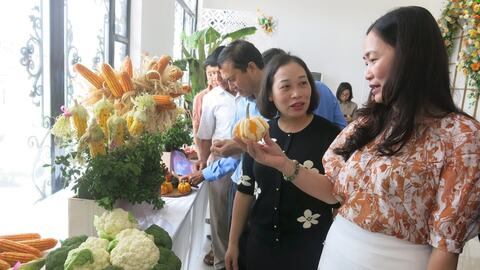 Nâng cao giá trị trồng cây vụ đông, 'mùa vàng' thứ 3 của nông dân