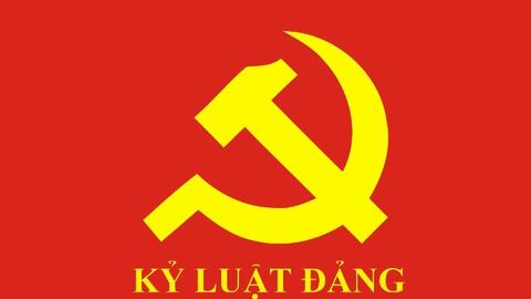 Ban Bí thư xem xét, thi hành kỷ luật đảng viên vi phạm