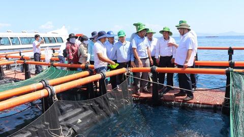 Những Nghị quyết mang tính đột phá chiến lược