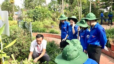 Phát triển Đảng trong các trường cao đẳng ở Hải Phòng