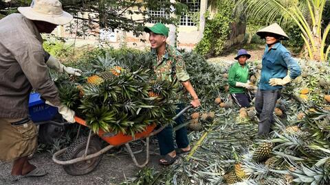 Khoa học, công nghệ góp phần cho phát triển