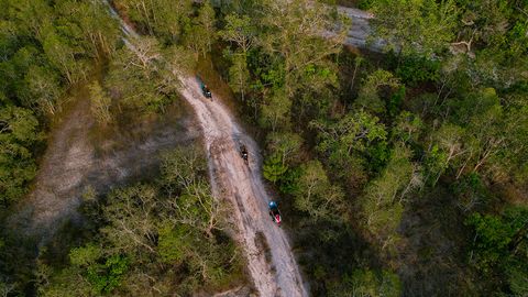 Vườn Quốc gia Phú Quốc tổ chức 3.555 cuộc tuần tra truy quét, quản lý bảo vệ rừng