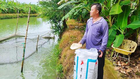 Từ chiến hào ra đồng ruộng