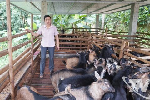 Khát vọng thoát nghèo ở Yên Phong