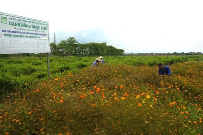Dám nghĩ, dám làm vì sự phát triển của Thủ đô