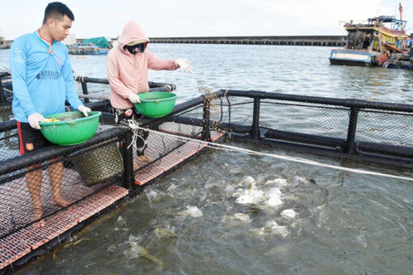 Từ tầm nhìn đến hành động