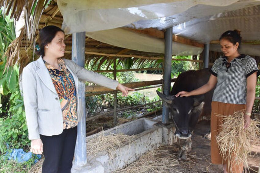 Những đảng viên “đi trước