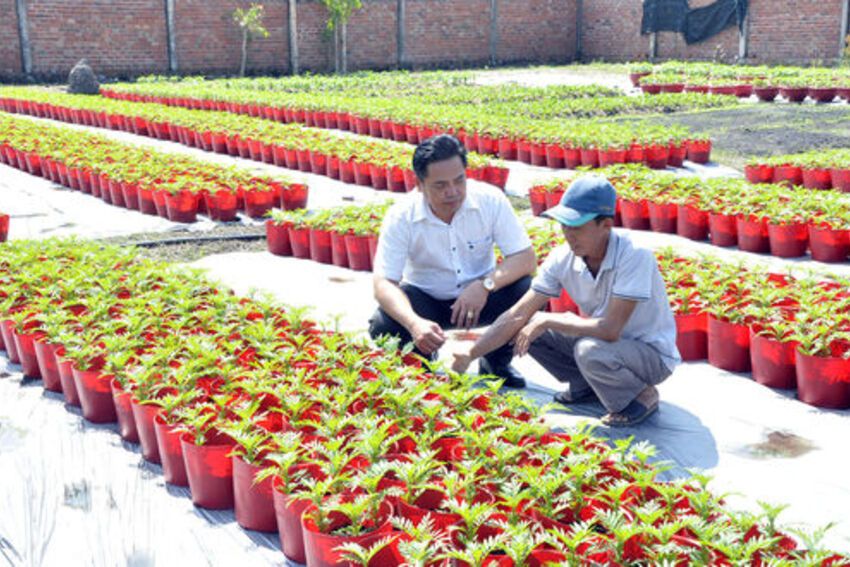 Khi lãnh đạo gần dân, sát việc