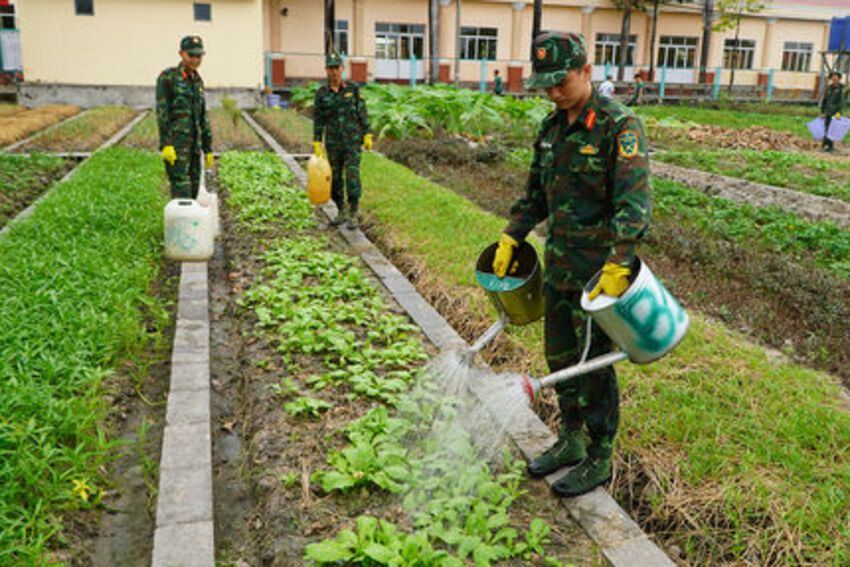 Từ bó rau xanh đến hũ gạo nghĩa tình