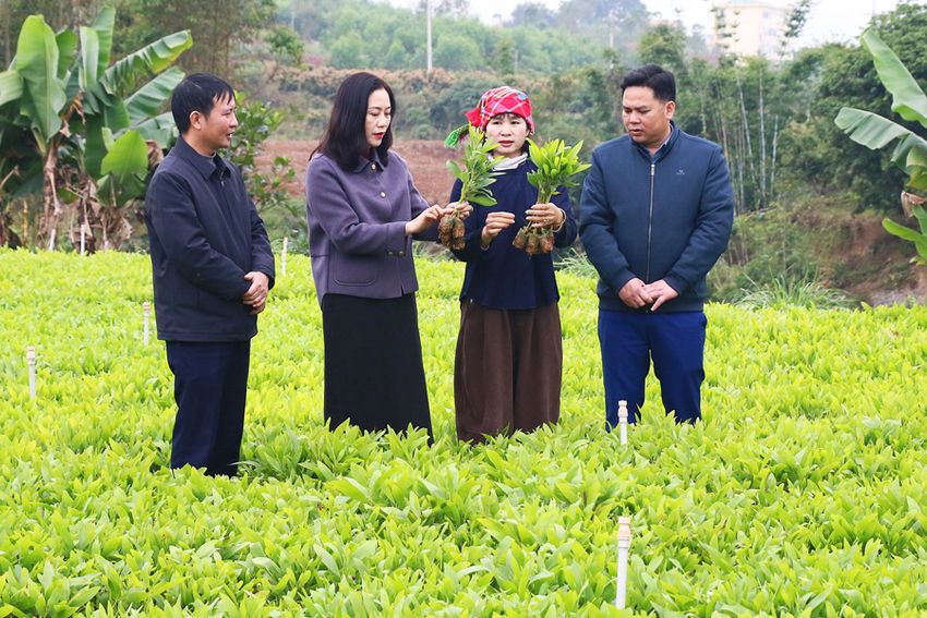 Bước chuyển từ nghị quyết chuyên đề