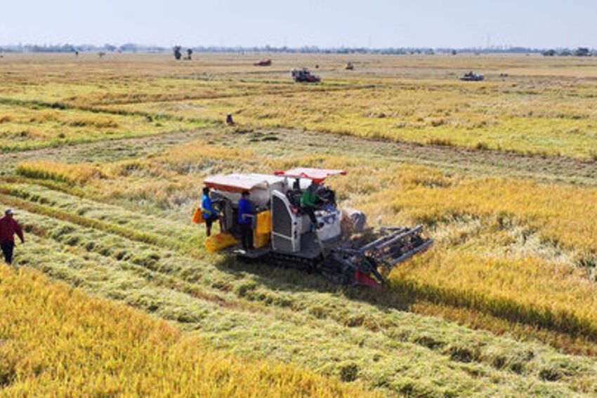 Vĩnh Xương tạo điểm tựa phát triển