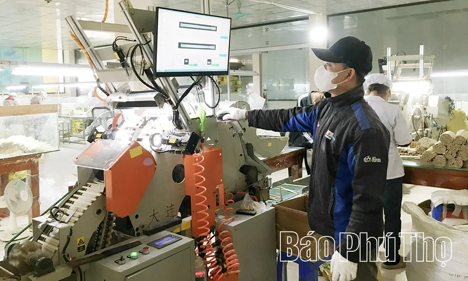 Chuyển đổi số doanh nghiệp - Từ thay đổi tư duy đến giá trị bền vững