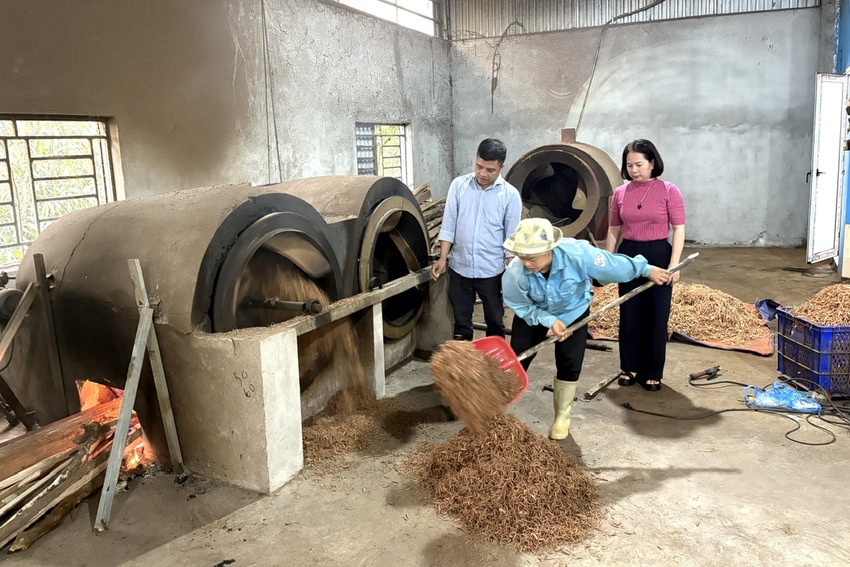 Hợp tác xã Hoàng Thịnh Phát - Điểm sáng phát triển dược liệu, lan tỏa giá trị Kinh tế tập thể