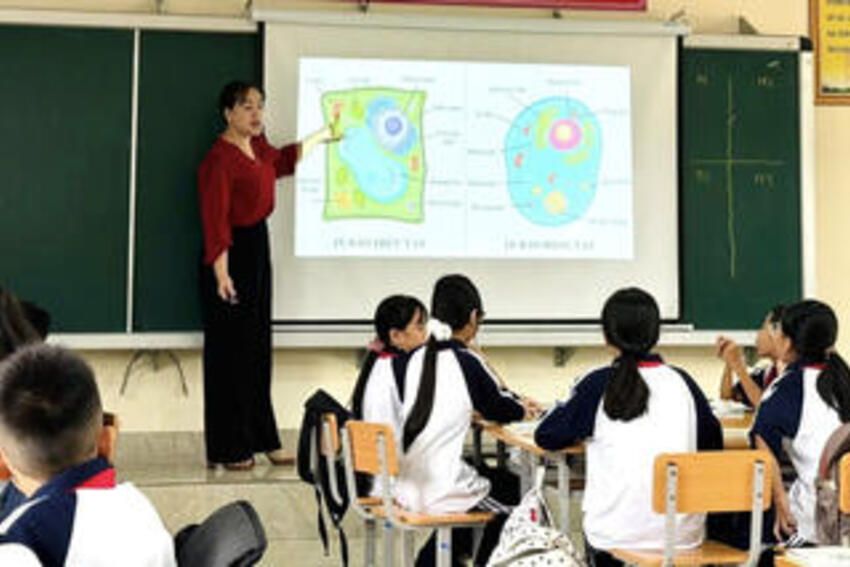 Quảng Ninh duy trì vững chắc kết quả phổ cập giáo dục