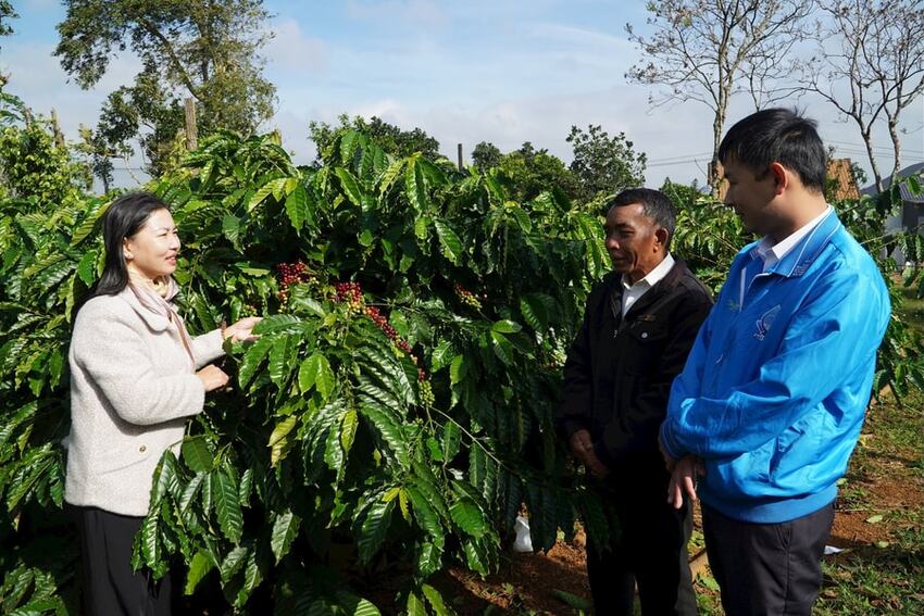 Tuy Ðức phát triển đảng viên dân tộc thiểu số