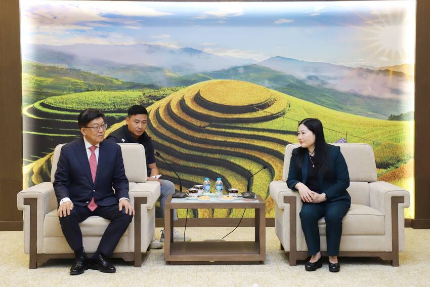 Phó Chủ tịch UBND tỉnh Vũ Thị Hiền Hạnh tiếp xã giao ông Lee Jeong Zoo - Giám đốc Bệnh viện Veterans Busan, Hàn Quốc