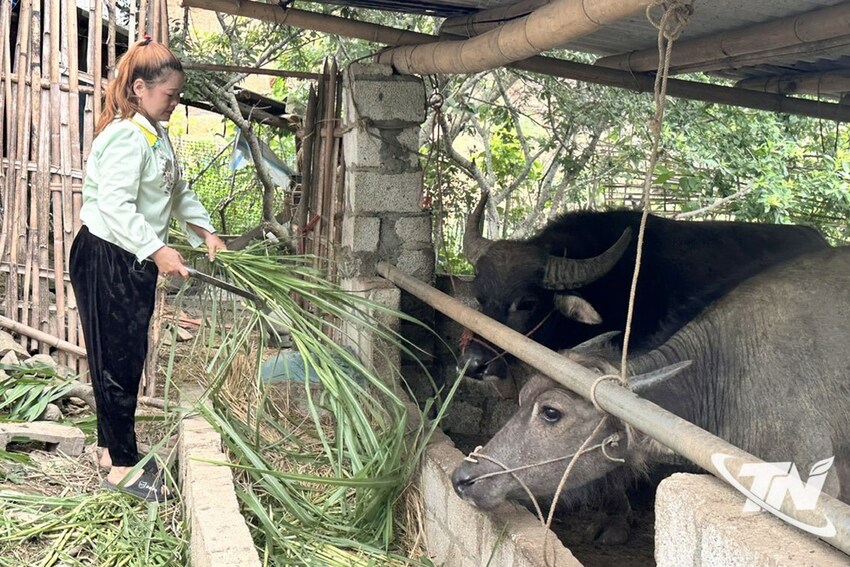 Thái Nguyên: Chương trình mục tiêu quốc gia: Tạo động lực để người dân thay đổi tư duy