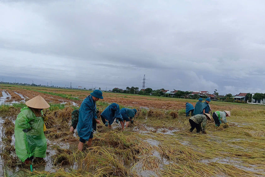 Khẩn trương triển khai hỗ trợ ứng phó mưa lớn kéo dài trên diện rộng