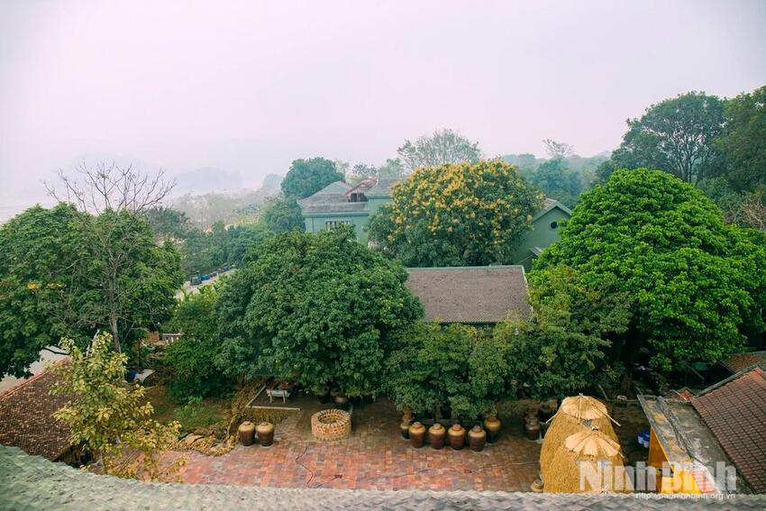 Hợp tác xã Sinh Dược: Khơi dậy giá trị dược liệu bản địa