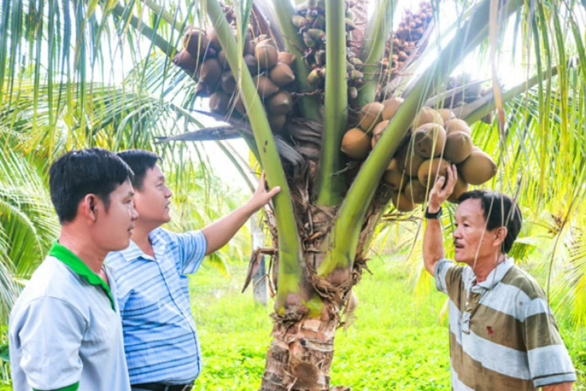 Lan tỏa mô hình học và làm theo Bác