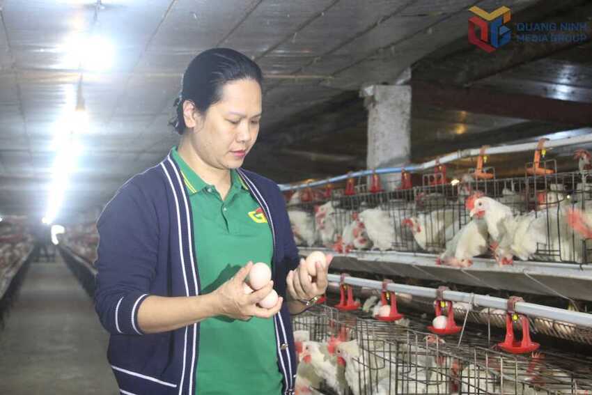 Lan tỏa các phong trào thi đua trong nông dân