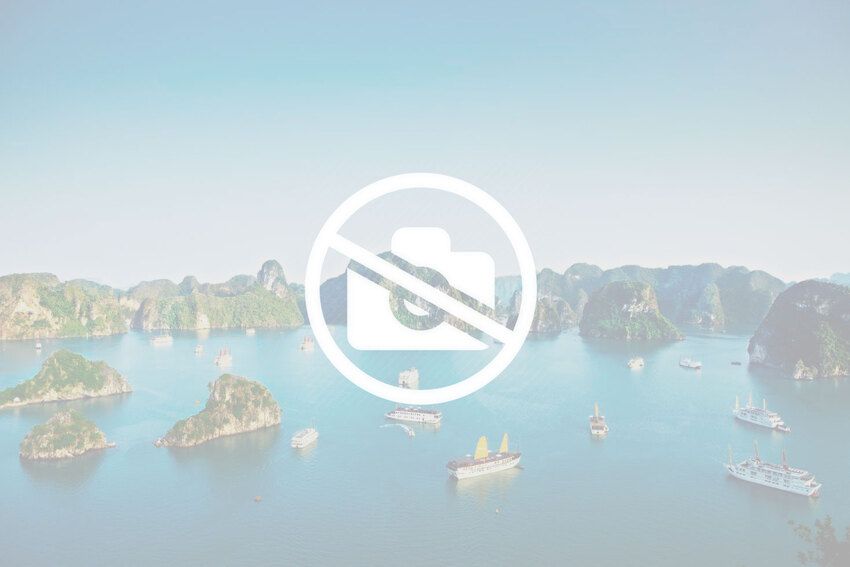 Đặc khu Vân Đồn tổ chức Hội nghị giao ban cán bộ cơ sở năm 2025