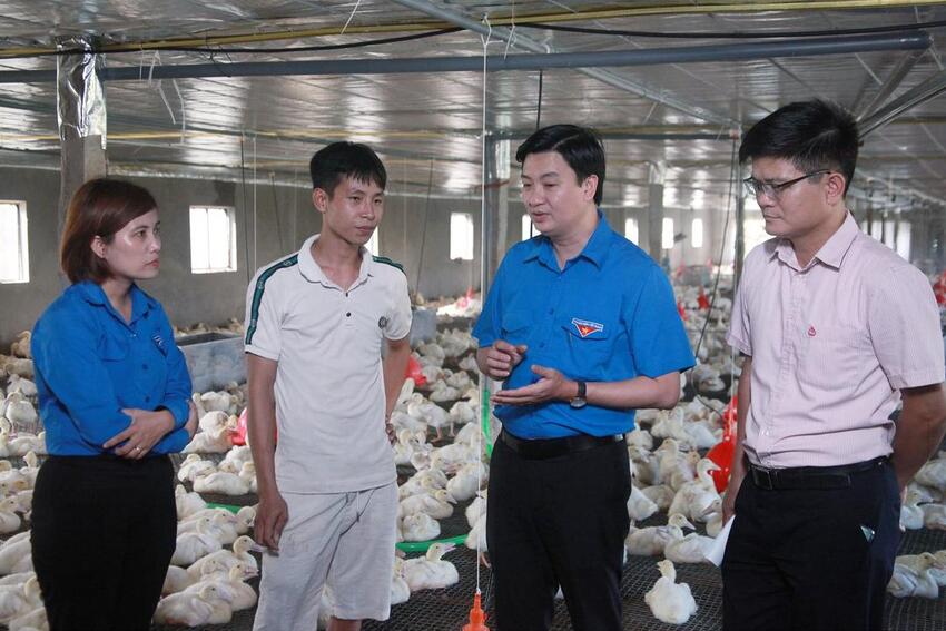 Tuổi trẻ Ninh Bình tự hào, vững tin theo Đảng