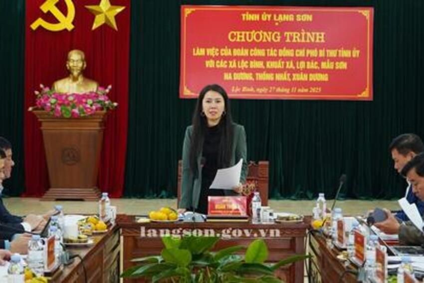 Đồng chí Đoàn Thu Hà, Phó Bí thư Tỉnh uỷ làm việc với Thường trực Đảng uỷ các xã Mẫu Sơn, Lộc Bình, Na Dương, Lợi Bác, Thống Nhất, Xuân Dương, Khuất Xá