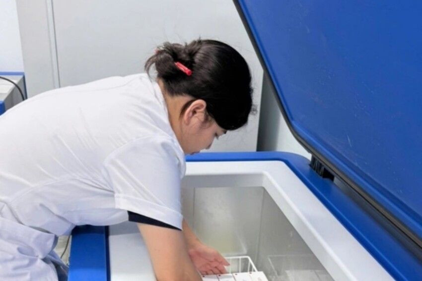 WHO hỗ trợ 9.000 liều vaccine phòng dại cứu người tại 2 tỉnh có nguy cơ cao ở Việt Nam