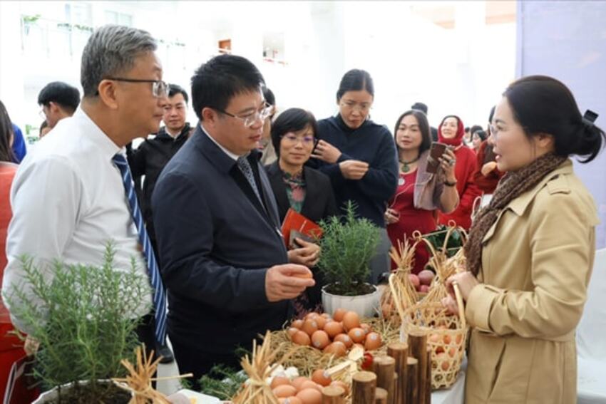 Cô giáo biến tri thức thành sản phẩm khởi nghiệp