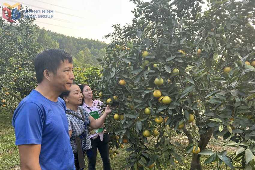 Quảng Ninh không còn hộ nghèo theo chuẩn nghèo tiếp cận đa chiều