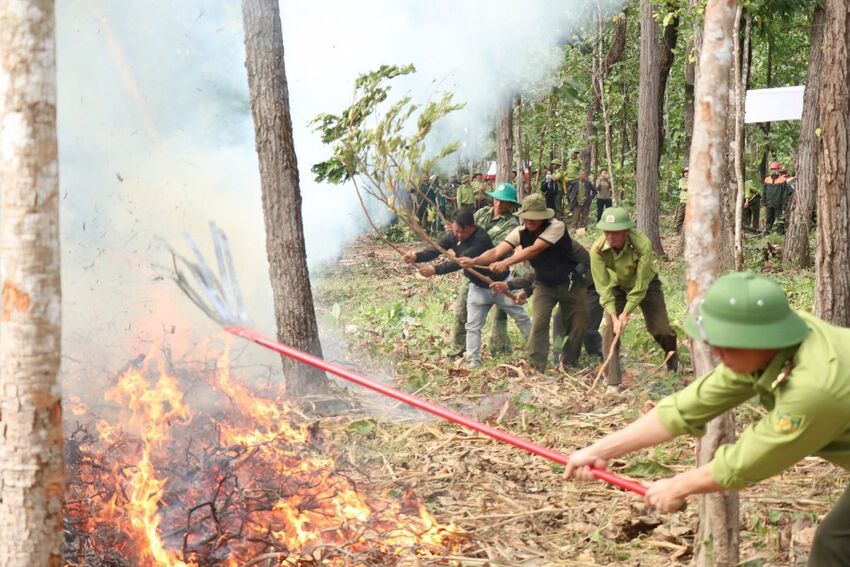 Diễn tập chữa cháy rừng ở Vườn Quốc gia Yok Đôn